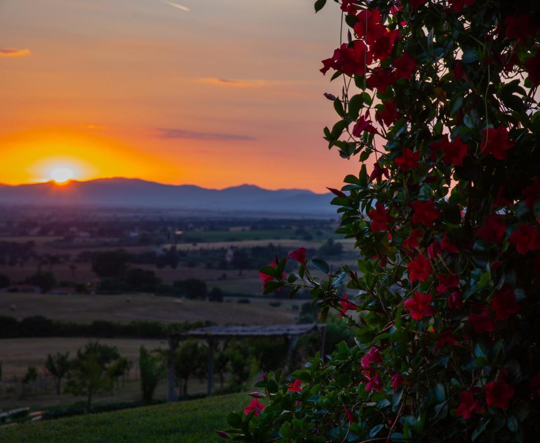 Podere N.8 Bio Casale Maremma Alberese Bagian luar foto